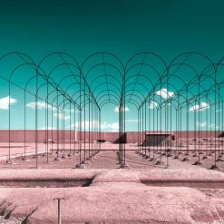 Minimal Frames in Persepolis - 05